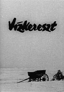 Watch Vízkereszt (Short 1967)