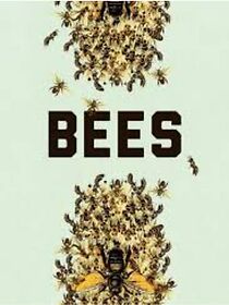 Watch Bees