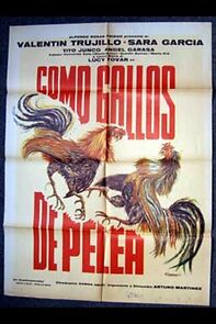 Watch Como gallos de pelea