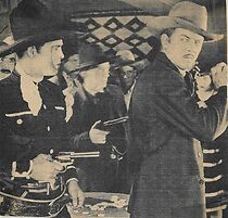 Watch The Border Wildcat