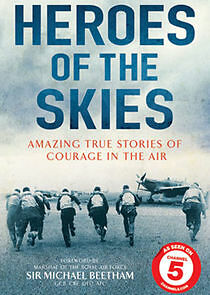Watch Heroes of the Skies