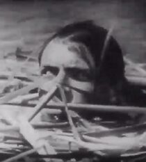 Watch The Bridge (Short 1929)