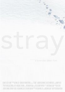 Watch Stray (Short 2011)