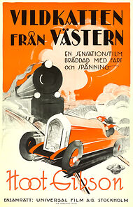 Watch Courtin' Wildcats