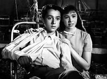 Watch Mientras haya un circo