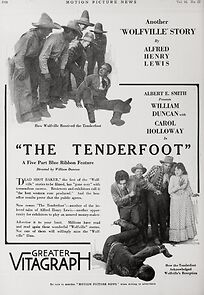 Watch The Tenderfoot