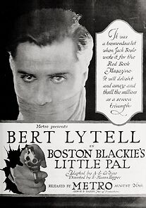Watch Boston Blackie's Little Pal