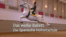 Watch Das weiße Ballett - Die Spanische Hofreitschule