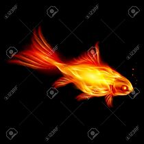 Watch A Goldfish of the Flame