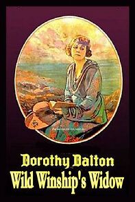 Watch Wild Winship's Widow