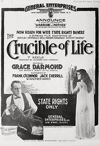 Watch The Crucible of Life
