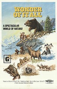 Watch Wonder of It All