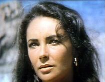 Watch The Big Sur (Short 1965)