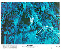 Watch They Walk Among Us (Short 2000)