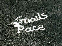 Watch Snail's Pace (Short 1989)