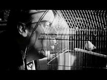 Watch It's My Mother's Birthday Today (Short 2008)