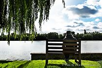 Watch Still Life with Bench (Short 2012)