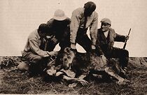 Watch Alone in the Jungle (Short 1913)