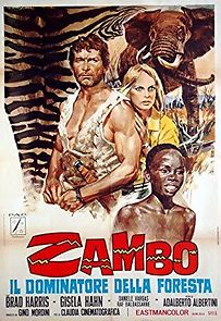 Watch Zambo, King of the Jungle