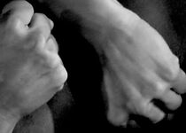 Watch Unsettled Animal (Short 2013)