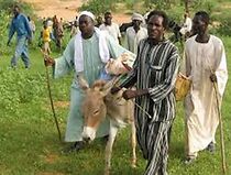 Watch Surviving Sudan