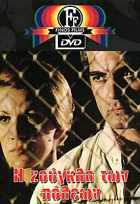 Watch The City Jungle