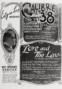 Watch Love and the Law