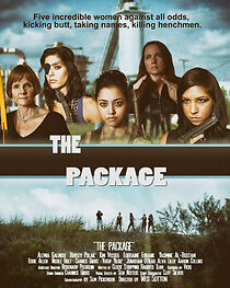 Watch The Package (Short 2012)