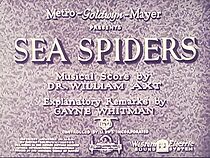 Watch Sea Spiders (Short 1932)