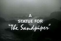 Watch A Statue for 'the Sandpiper' (Short 1965)