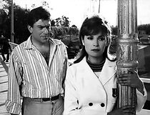 Watch El derecho a la felicidad