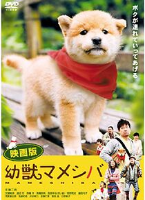 Watch Mameshiba Cubbish Puppy
