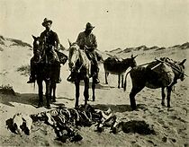 Watch The Desert Trail (Short 1912)