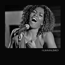 Watch Hummingbird (Short 2008)