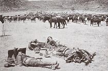 Watch The Raiders from Double L Ranch (Short 1913)