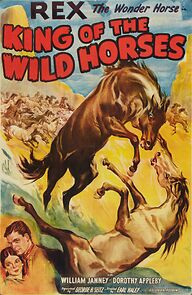 Watch King of the Wild Horses