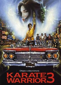 Watch Karate Warrior 3