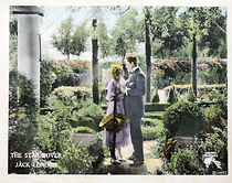 Watch The Star Rover