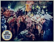 Watch The Man Hunter