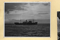 Watch Is Longing Hereditary (Short 2015)