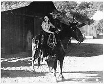 Watch O'Malley Rides Alone