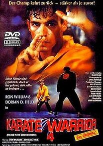 Watch Karate Warrior 4