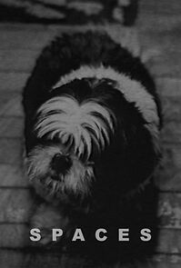 Watch Spaces (Short 2015)