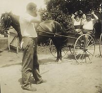 Watch Bunny Backslides (Short 1914)