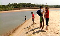 Watch The Arizon Tree: A Fairy Tale (Short 2008)