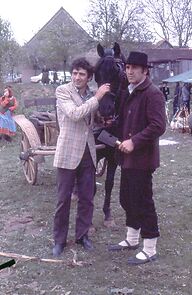 Watch Idi tamo gdje te ne poznaju