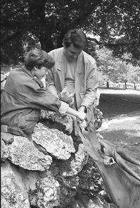 Watch Nedeljom od devet do pet