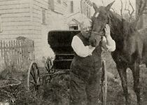 Watch The Old Fire Horse and the New Fire Chief (Short 1914)