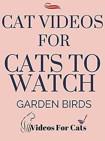 Watch Like Cats and Dogs