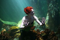 Watch Out of the Blue (Short 2008)